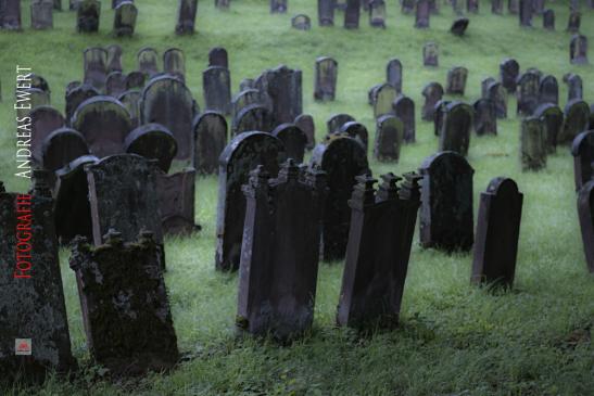 Graveyard - Fotografie Andreas Ewert Baden-Baden