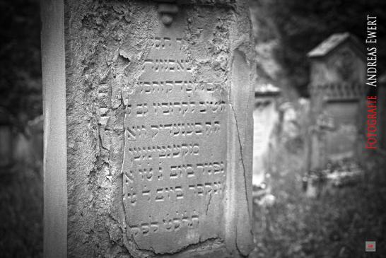 Graveyard - Fotografie Andreas Ewert Baden-Baden