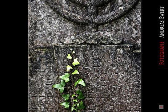Graveyard - Fotografie Andreas Ewert Baden-Baden